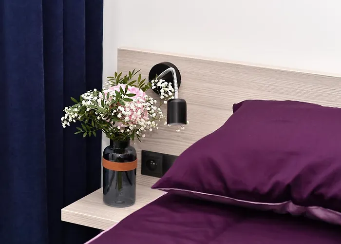 VIP Apartament number 10